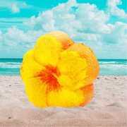 LEI'D Bath Bomb