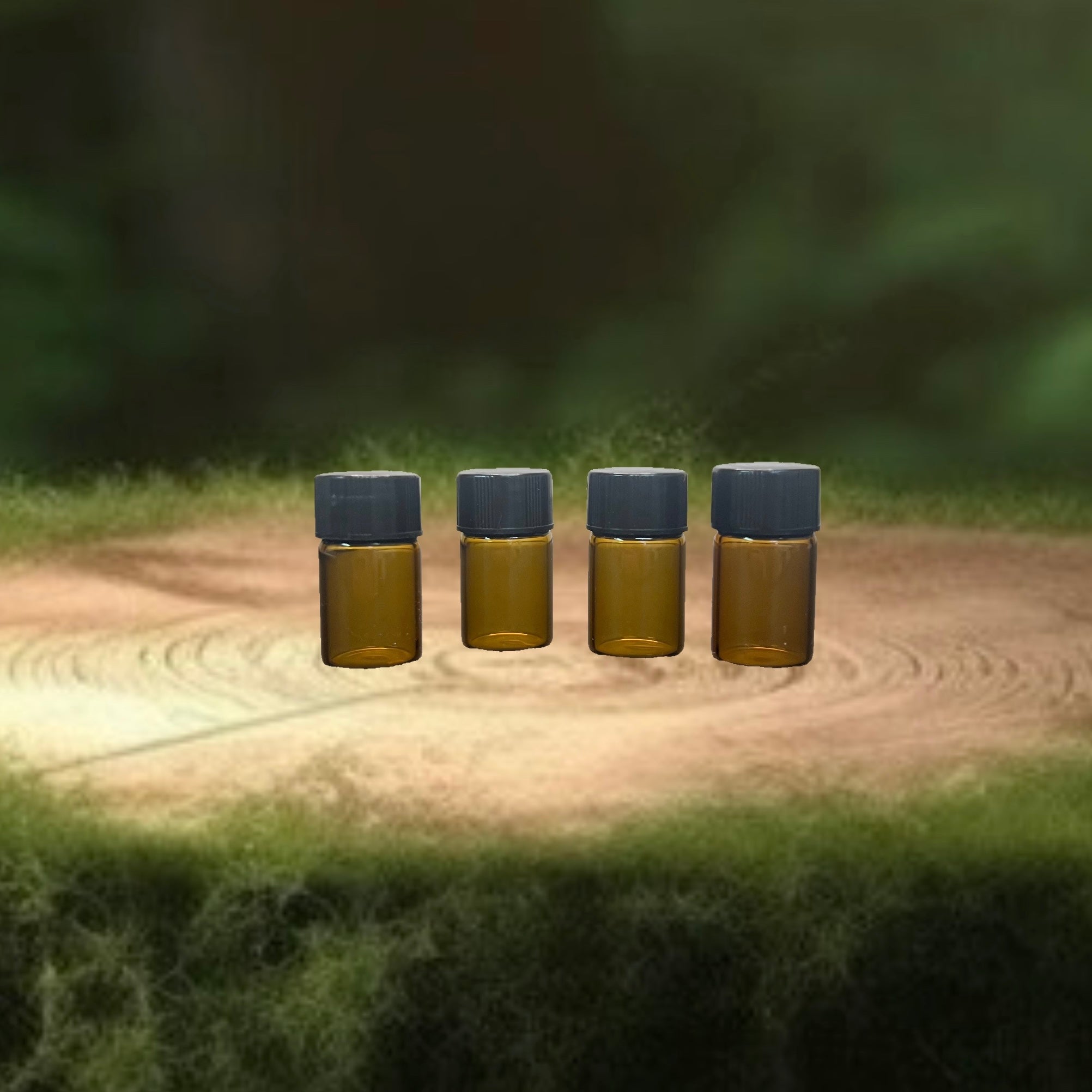 THIS IS MY SWAMP Perfume Sampler
