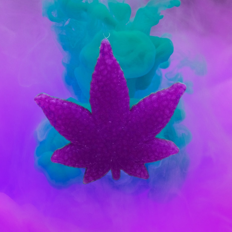 MAUI WOWIE Car Freshie