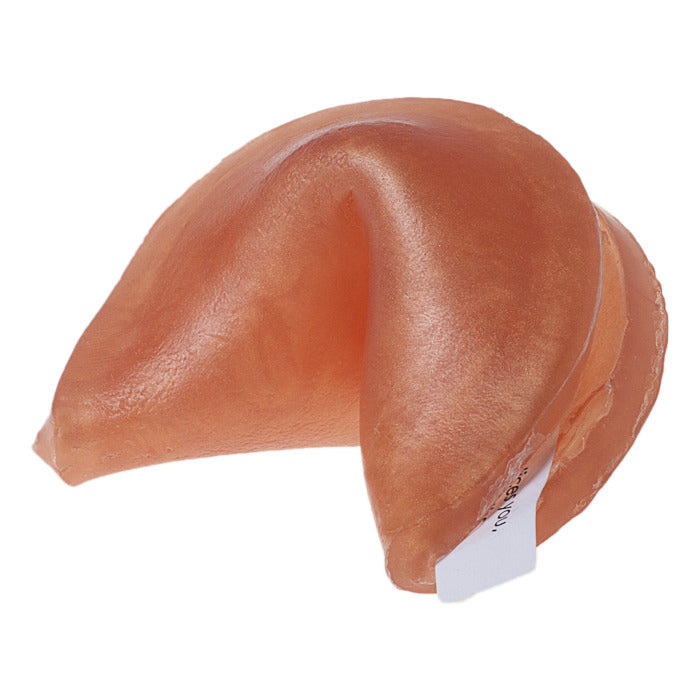 Awkward Family Gathering  Bath Gift - Fortune Cookie Soap