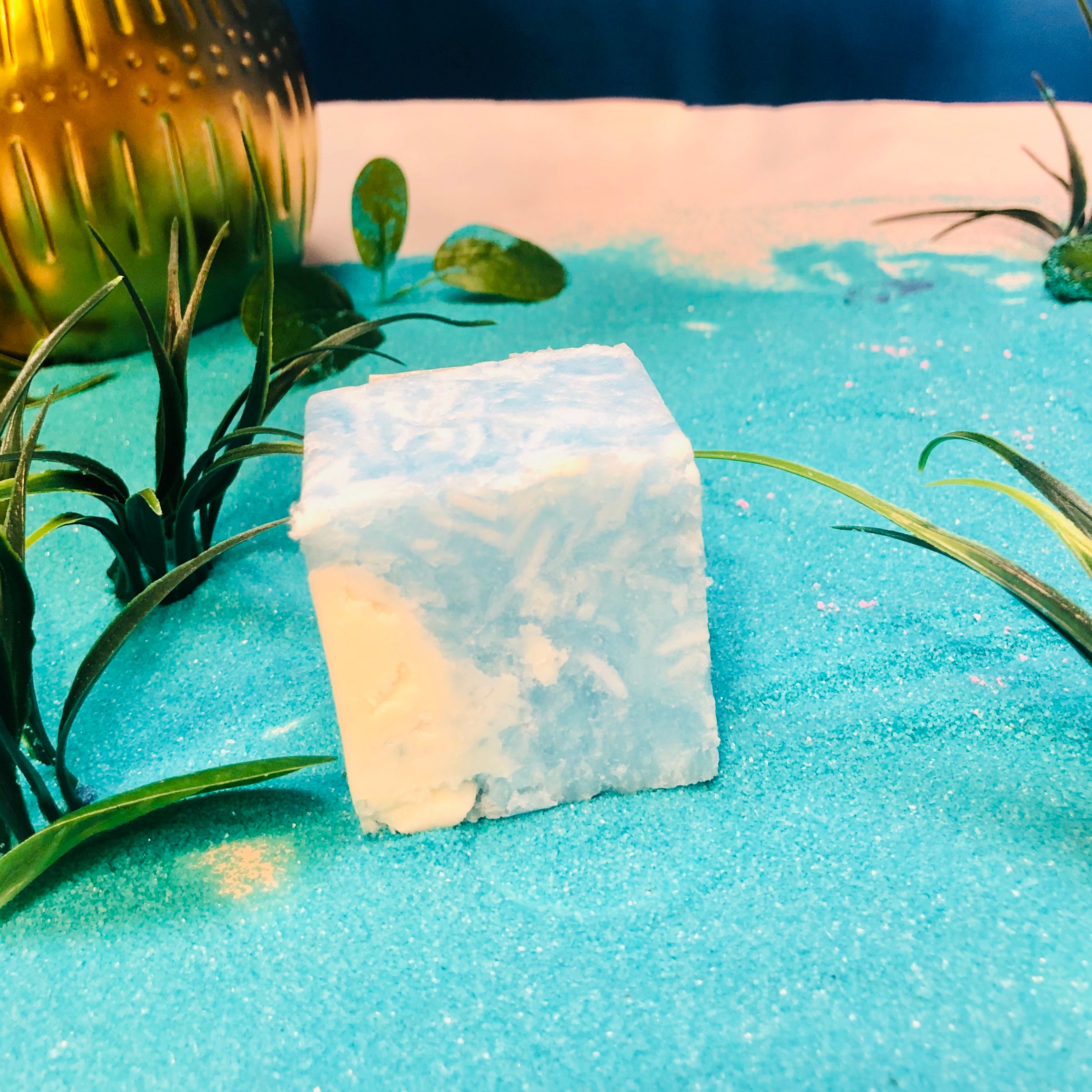 WENDY BIRD Shampoo Bar