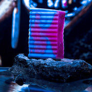 AQUA DE VIDA Bar Soap
