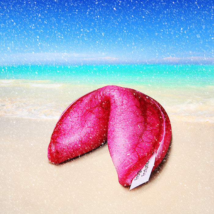 It's In The Bag Fortune Cookie Soap - Fortune Cookie Soap