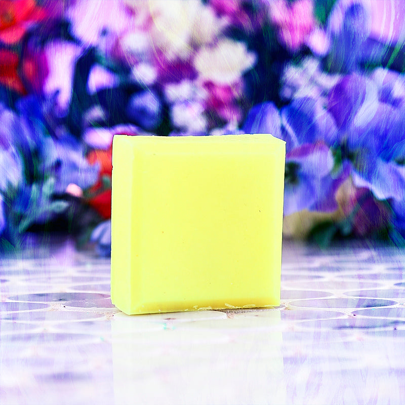 WELL BEGUN IS HALF-DONE Conditioner Bar